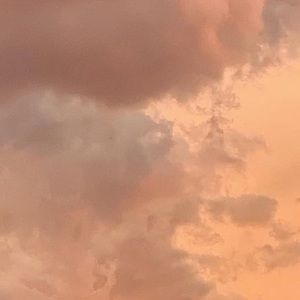 Meet your Posher, Tori